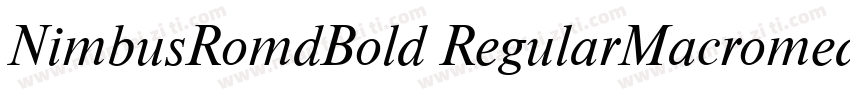 NimbusRomdBold RegularMacromedia字体转换